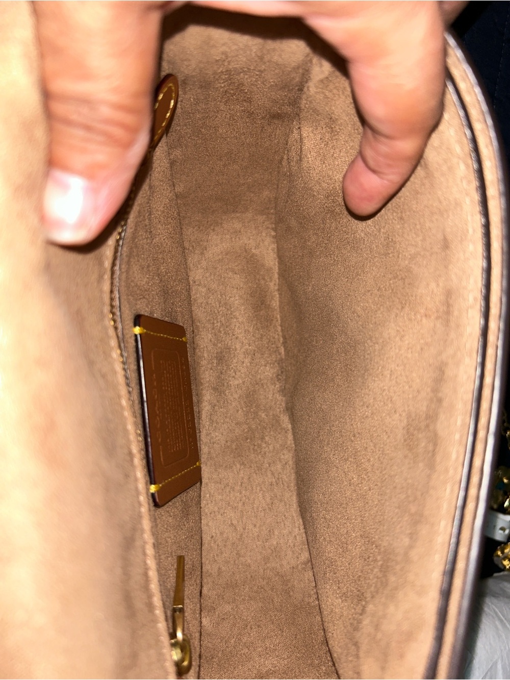 Coach Chalk Pebbled Leather Floral Appliqué Crossbody Bag with Gold Hardware - Picture 8 of 11